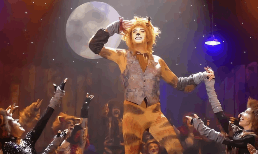 A smiling ginger cat stands amongst the rest of the cats cast.